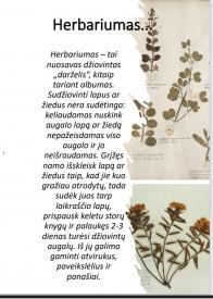 VASAROS ALBUMAS