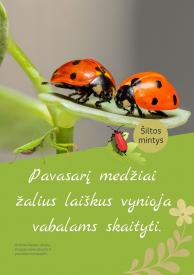 Šiltos mintys