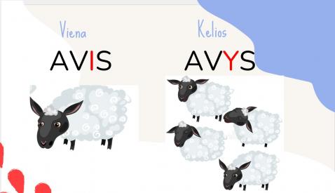 I-Y diferencijavimas