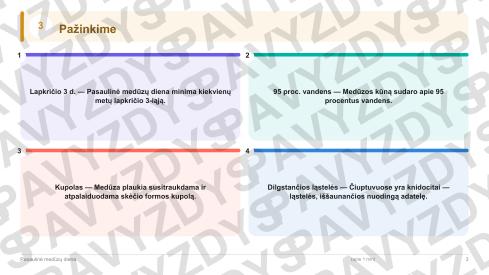Pasaulinė medūzų diena 5-6 kl.: 20 užduočių, SUP, stalo žaidimas ir QR