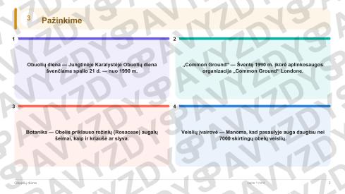 Obuolių diena 9-10 kl.: 20 užduočių, SUP, stalo žaidimas ir QR