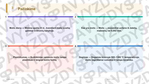 Molio diena 9-10 kl.: 20 užduočių, SUP, stalo žaidimas ir QR