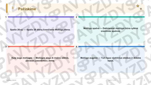Moliūgų diena 1-2 kl.: 20 užduočių, SUP, stalo žaidimas ir QR