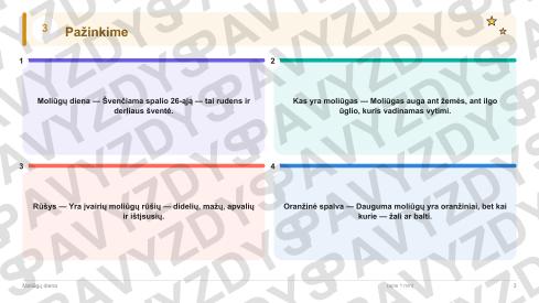 Moliūgų diena 3-4 kl.: 20 užduočių, SUP, stalo žaidimas ir QR