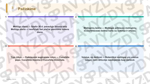 Moliūgų diena 9-10 kl.: 20 užduočių, SUP, stalo žaidimas ir QR