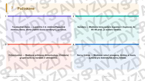 Pasaulinė medūzų diena 9-10 kl.: 20 užduočių, SUP, stalo žaidimas ir QR