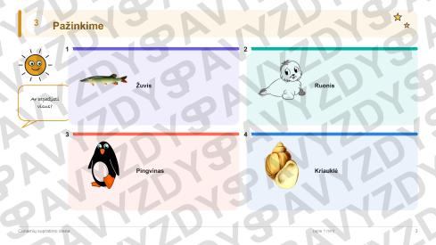 Cunamių supratimo diena 1-2 kl.: 20 užduočių, SUP, stalo žaidimas ir QR