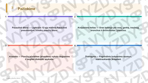 Sveikų plaučių diena 7-8 kl.: 20 užduočių, SUP, stalo žaidimas ir QR