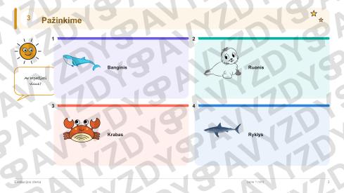 Evoliucijos diena 1-2 kl.: 20 užduočių, SUP, stalo žaidimas ir QR