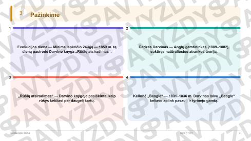 Evoliucijos diena 5-6 kl.: 20 užduočių, SUP, stalo žaidimas ir QR