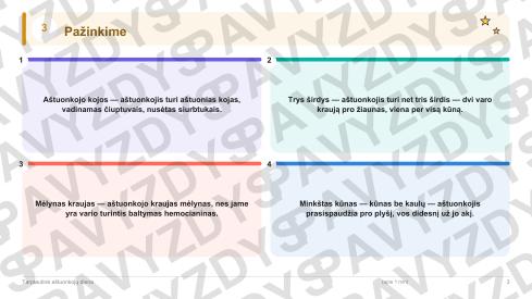 Tarptautinė aštuonkojų diena 3-4 kl.: 20 užduočių, SUP, stalo žaidimas ir QR