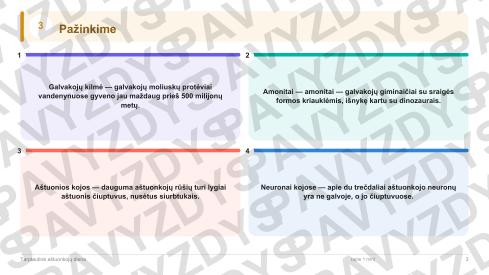 Tarptautinė aštuonkojų diena 7-8 kl.: 20 užduočių, SUP, stalo žaidimas ir QR