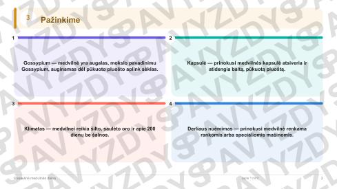 Pasaulinė medvilnės diena 5-6 kl.: 20 užduočių, SUP, stalo žaidimas ir QR