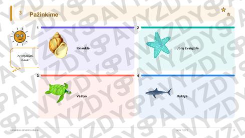 Amerikos atradimo diena 1-2 kl.: 20 užduočių, SUP, stalo žaidimas ir QR
