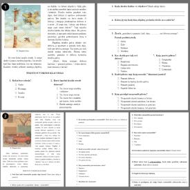 3 TEKSTO SUVOKIMO UŽDUOTYS  1 - 3 KLASIŲ MOKINIAMS