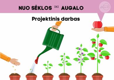 Nuo sėklos iki augalo