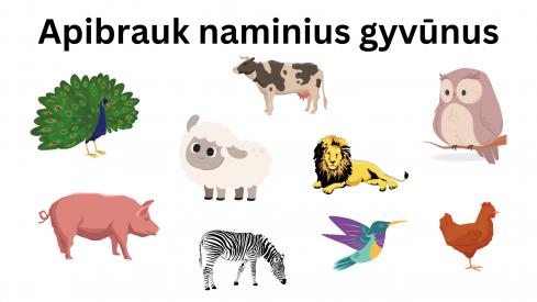 Gyvūnai