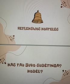 Refleksijos kortelės