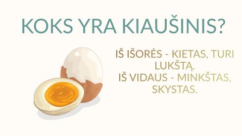 VELYKOS KIAUŠINIO STRUKTŪRA