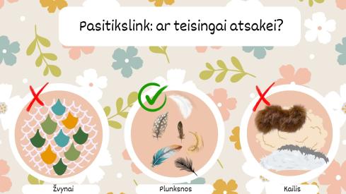 Susipažinkime su paukšteliais