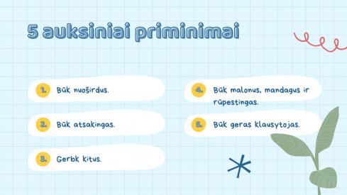 Klasės taisyklės