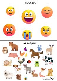 Mano pasiekimų dienoraštis