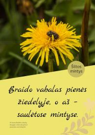 Šiltos mintys