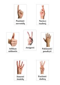 PDF rinkinys- 7 paveikslėliai, A4