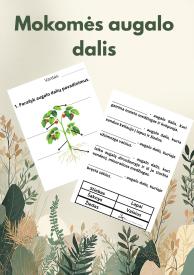 Pažink augalo dalis