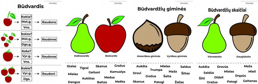 Daiktavardžio ir būdvardžio įtvirtinimas