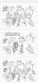 Ruduo