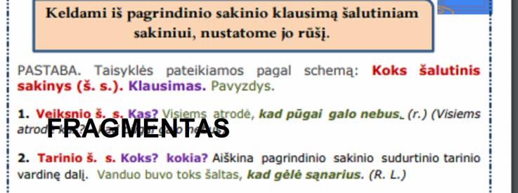 ŠALUTINIŲ SAKINIŲ RŪŠYS