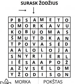 Rasti žodžius ir skaičių sekas
