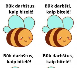 Bitutės, medus