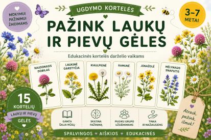 Pažink laukų gėles