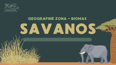 Skaidrių pristatymas apie Savanų biomą 