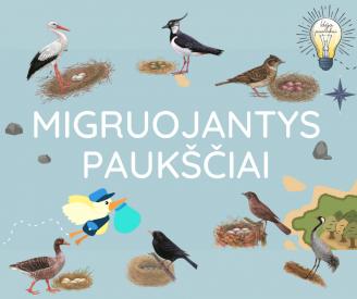 Skaidrės MIGRUOJANTYS PAUKŠČIAI