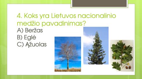 Viktorina. Lietuva