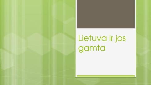 Viktorina. Lietuva