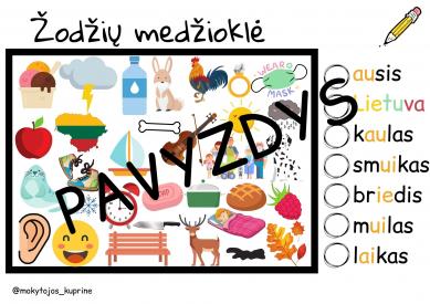 Dvibalsių medžioklė