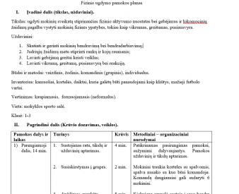 Fizinio ugdymo pamokos planas