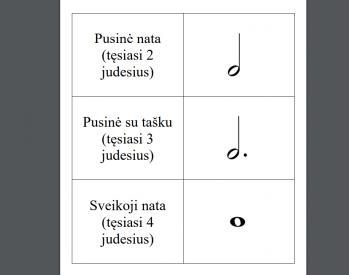 Natų pažinimo kortelės