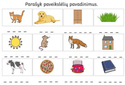 Parašyk paveikslėlių pavadinimus