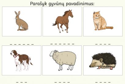 Parašyk pavadinimus