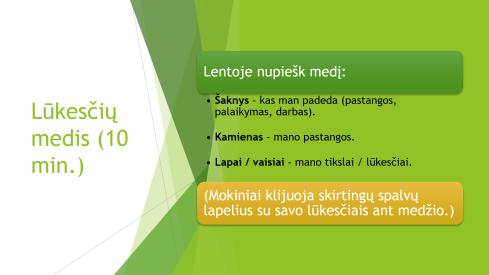 Mano tikslai