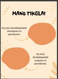 Mano tikslai