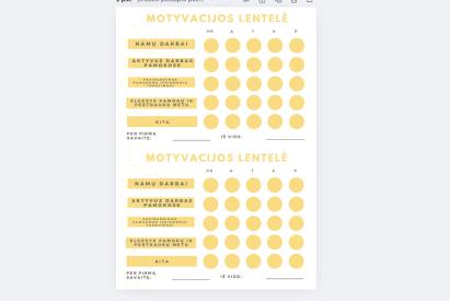 Motyvacijos sistema