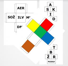  ŽAIDIMAS RAIDĖS