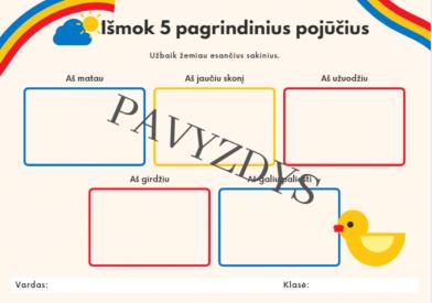 5 PAGRINDINIAI POJŪČIAI