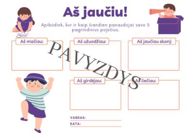 5 PAGRINDINIAI POJŪČIAI